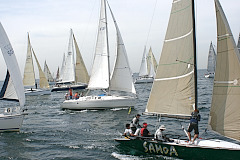 2013年第31回三浦－伊東ヨットレース