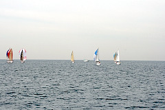 2013年第31回三浦－伊東ヨットレース