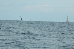 2015年第33回三浦－伊東ヨットレース