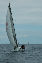 2015年第33回三浦－伊東ヨットレース