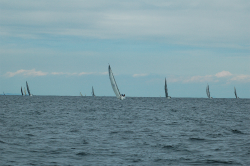 2015年第33回三浦－伊東ヨットレース