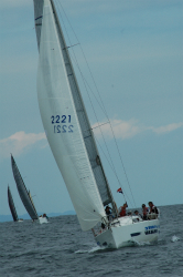 2015年第33回三浦－伊東ヨットレース