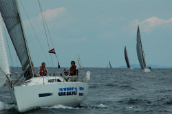 2015年第33回三浦－伊東ヨットレース