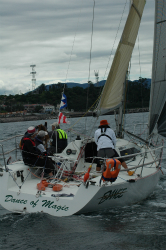 2015年第33回三浦－伊東ヨットレース