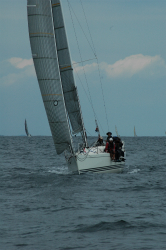 2015年第33回三浦－伊東ヨットレース