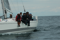 2015年第33回三浦－伊東ヨットレース