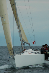 2015年第33回三浦－伊東ヨットレース