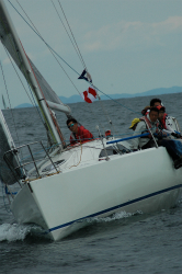 2015年第33回三浦－伊東ヨットレース