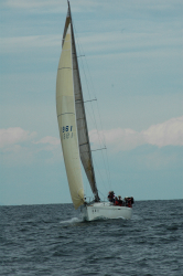 2015年第33回三浦－伊東ヨットレース