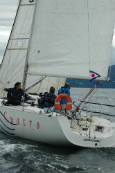 2015年第33回三浦－伊東ヨットレース