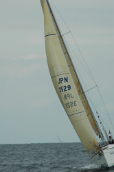 2015年第33回三浦－伊東ヨットレース