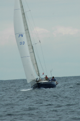 2015年第33回三浦－伊東ヨットレース