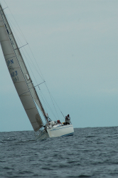 2015年第33回三浦－伊東ヨットレース