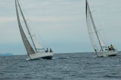 2015年第33回三浦－伊東ヨットレース