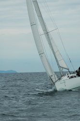 2015年第33回三浦－伊東ヨットレース