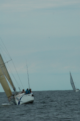 2015年第33回三浦－伊東ヨットレース