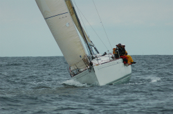 2015年第33回三浦－伊東ヨットレース