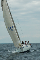 2015年第33回三浦－伊東ヨットレース