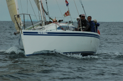 2015年第33回三浦－伊東ヨットレース