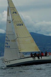 2015年第33回三浦－伊東ヨットレース