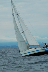 2015年第33回三浦－伊東ヨットレース