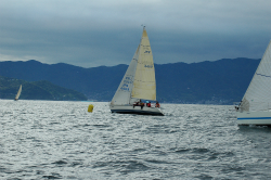 2015年第33回三浦－伊東ヨットレース