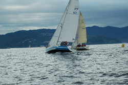 2015年第33回三浦－伊東ヨットレース