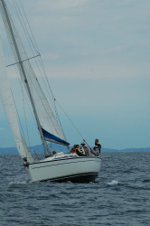 2015年第33回三浦－伊東ヨットレース