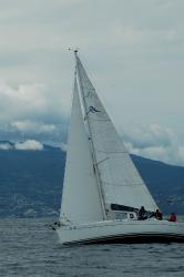 2015年第33回三浦－伊東ヨットレース