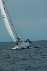 2015年第33回三浦－伊東ヨットレース