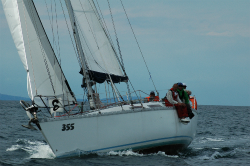 2015年第33回三浦－伊東ヨットレース