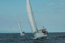 2015年第33回三浦－伊東ヨットレース