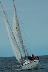 2015年第33回三浦－伊東ヨットレース