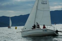 2015年第33回三浦－伊東ヨットレース