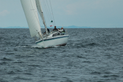 2015年第33回三浦－伊東ヨットレース