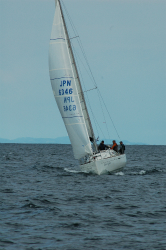 2015年第33回三浦－伊東ヨットレース