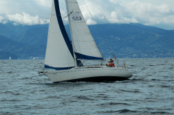 2015年第33回三浦－伊東ヨットレース