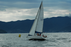 2015年第33回三浦－伊東ヨットレース