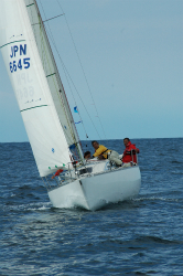 2015年第33回三浦－伊東ヨットレース