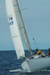 2015年第33回三浦－伊東ヨットレース