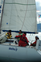 2015年第33回三浦－伊東ヨットレース