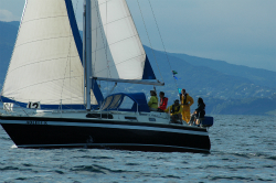 2015年第33回三浦－伊東ヨットレース