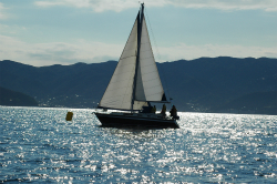 2015年第33回三浦－伊東ヨットレース