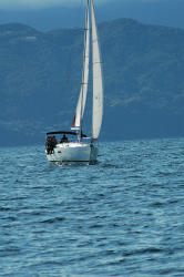 2015年第33回三浦－伊東ヨットレース