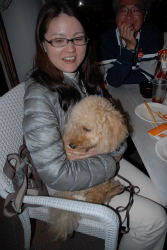 2015年第33回三浦－伊東ヨットレース