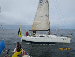 2015年第33回三浦－伊東ヨットレース