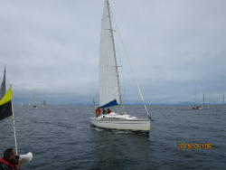 2015年第33回三浦－伊東ヨットレース