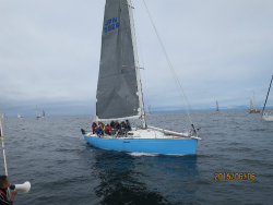 2015年第33回三浦－伊東ヨットレース