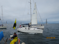 2015年第33回三浦－伊東ヨットレース