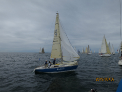 2015年第33回三浦－伊東ヨットレース